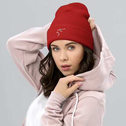 aquarius beanie